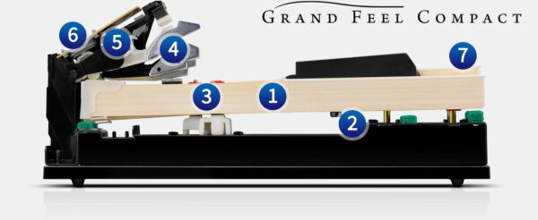 diagram of Kawai's Grand Feel Compact Action