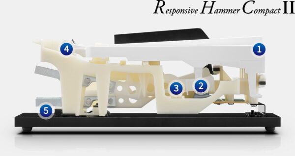 Kawai's Responsive Hammer Compact II action