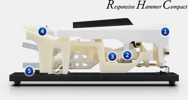 Kawai's responsive hammer compact action